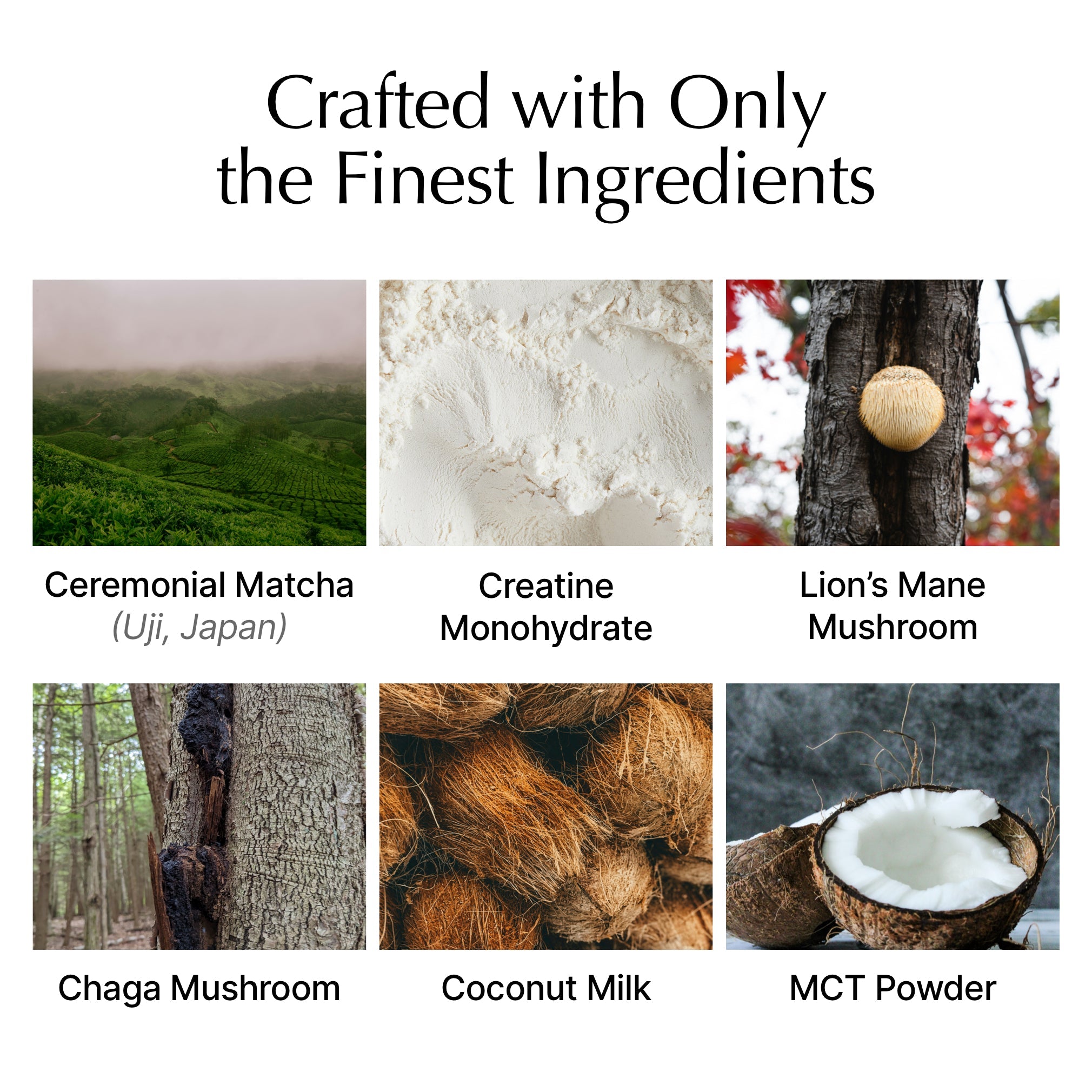 Matcha with Creatine