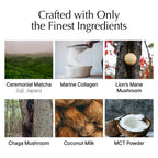 Matcha with Collagen + Coconut Add-on